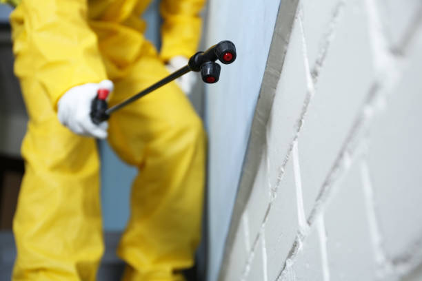 Best Emergency Pest Control  in Parker, SC